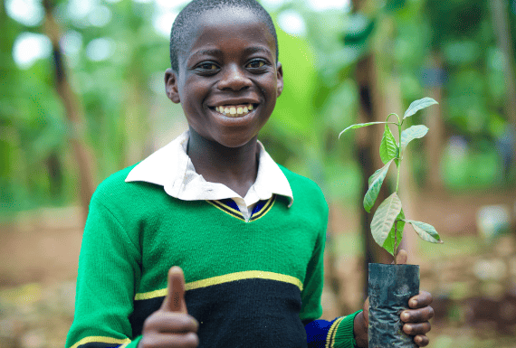 Tree Planting at Rushe Primary School in Kyerwa: