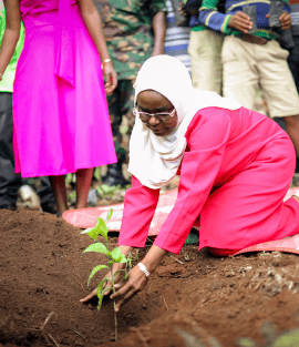 District Commissioner planting a tree sapling during the school visit
